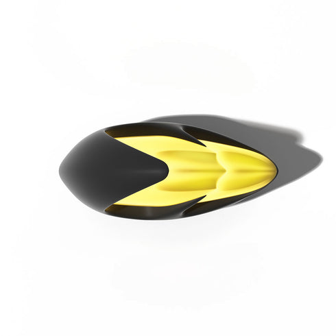 Nageoires de Requin Dragon Koi - Brillent dans le Noir